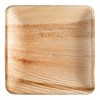 Smarty Had A Party 10" Square Palm Leaf Eco Friendly Dinner Plates - 100 pcs - 2 of 4