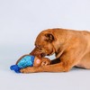 PetShop by Fringe Studio I'll Bring The Bubbles Durable Plush Dog Toy - 2 of 4