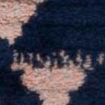 navy/multi