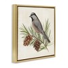 Stupell Industries Bird on Pine Tree Floating Frame Canvas Art - 2 of 4