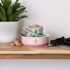 Bone Dry Pet Bowl - Paw Patch - 4 of 4