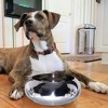 Unspill-a-Bowl® Stainless Steel Dog Bowl - Paws Pattern | No Spill, Long Ears, Slow Feeding, & Travel Bowl - 3 of 3