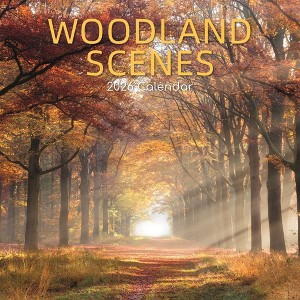 2026 Square Wall Calendar, Woodland Scenes, 16-Month Natural World Theme with 180 Reminder Stickers (12x12 In) - 1 of 4