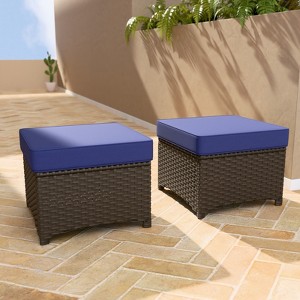 EAGLE PEAK Azure Bay 2 Piece Wicker Patio for Patio Deck Backyard Poolside - 1 of 4