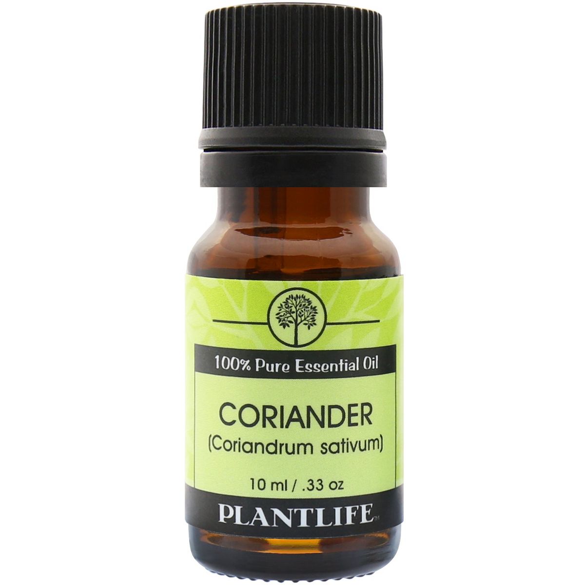 Plantlife Coriander Aromatherapy Essential Oil – 100% Pure, Therapeutic Grade, No Additives or Fillers, 10 ml