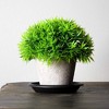 Juvale 24 Pack Small Plastic Plant Saucers for Pots, 4 Inch Drip Tray for Planter, Indoor, Outdoor Flowers, Black - 3 of 4
