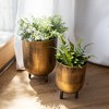 Set of 2 Footed Planters Brass Metal by Foreside Home & Garden - 2 of 4
