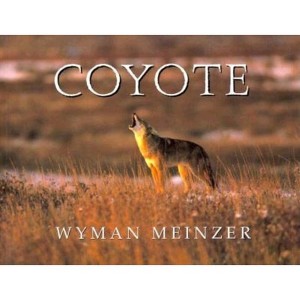 Coyote - (Southeast Asia Series; 95) (Paperback) - 1 of 1