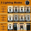 C Cattleya 2-Pack 16.75in Matte Black Motion Sensor & Dusk to Dawn Outdoor Wall Lantern with Seeded Glass - 3 of 4
