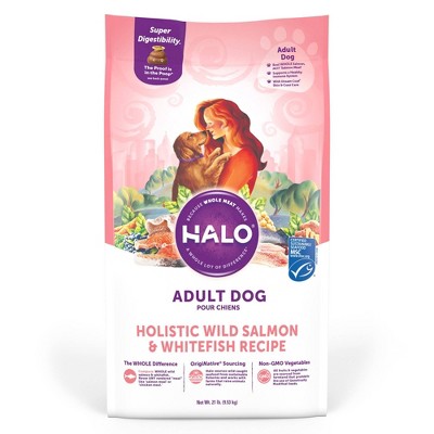 holistic senior dog food