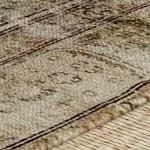 black wirebrush, blonde