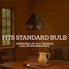 Park Designs Pinecone Pendant Hanging Light - 4 of 4