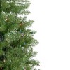 Northlight 6.5' Pre-Lit Silver Lake Fir Pencil Artificial Christmas Tree, Multi Lights - image 4 of 4