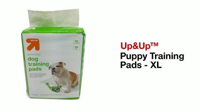 Up&Up Puppy Training Pads (100 Counts) (X-Large, 1-Count)