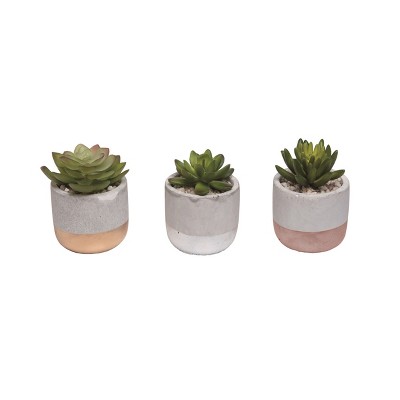Transpac Plastic/Dol Succulent w/Planter Set of 3 Spring Home Decorations
