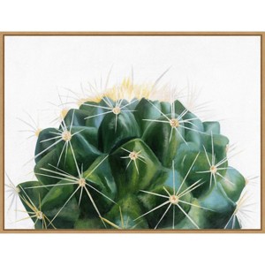 30" x 23" Cacti by Urban Road Framed Canvas Wall Art Print - Amanti Art: Modern Botanical Lithograph, Polystyrene Frame - 1 of 4
