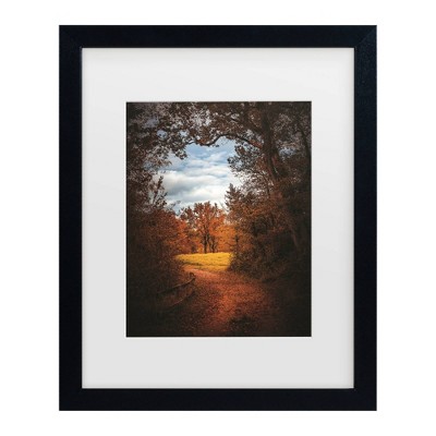 Trademark Fine Art Philippe Sainte Laudy Way of Emotions Matted Framed Art