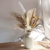 Alilang Neutral Dried Pampas Grass and Billy Balls Floral Arrangement, 17.5 Inches - Brown - 2 of 4