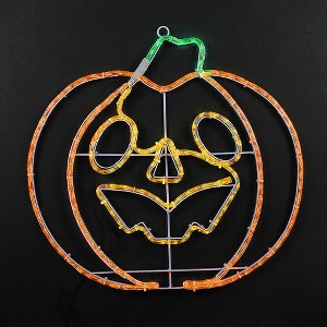 Novelty Lights Halloween LED Rope Light Motif - 1 of 3