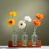 Sullivans 15.75" Bottle Vases With Wooden Base, Glass - 4 of 4