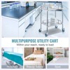 VEVOR Lab Rolling Cart, 2-Shelf Stainless Steel Rolling Cart, Lab Serving Cart with Swivel Casters, Dental Utility Cart,15.16"x21.57"x34.06" - 3 of 4