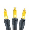 Novelty Lights 50 Light Incandescent Mini Christmas String Lights Black Wire 11 Feet - 3 of 4
