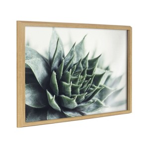 Kate and Laurel Blake Radical Succulent Framed Printed Glass by Emiko and Mark Franzen of F2Images, 18x24, Natural - 1 of 4