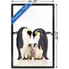 Trends International A Group Of Emperor Penguins Framed Wall Poster Prints - 3 of 4