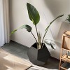 Modern Cat Kennel,Litter Box,Artificial Flower Pots,Side Tables For Couch With Storage,Multifunctional Furniture Design-Cuddlewood - 3 of 4
