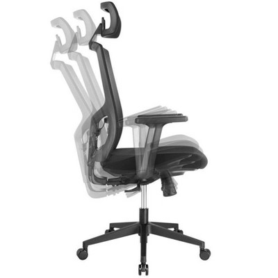 Black Mesh Ergonomic Task Chair with Adjustable Arms and Headrest