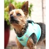 Doggie Design American River Choke Free Dog Harness Ombre Collection-Aruba Blue - 3 of 4