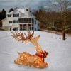 31" Sisal Splendor Champagne Lying Deer Novelty Sculpture Light White Lights - National Tree Company - 2 of 3