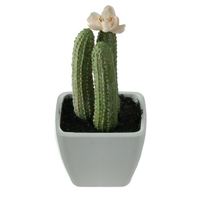 Northlight 4.25" Columnar Flowering Cactus in Vase Artificial Potted Planter Table Top Decoration - Green/White