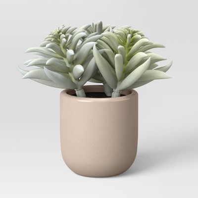 Artificial Mini Succulent in Ceramic Pot - Project 62™