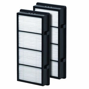 Filter-Monster True HEPA Replacement Filter Compatible with Holmes AER1 HAPF300/HAPF30 (D Filter) and Bionaire BAP536/BAP516, 2 Pack - 1 of 4