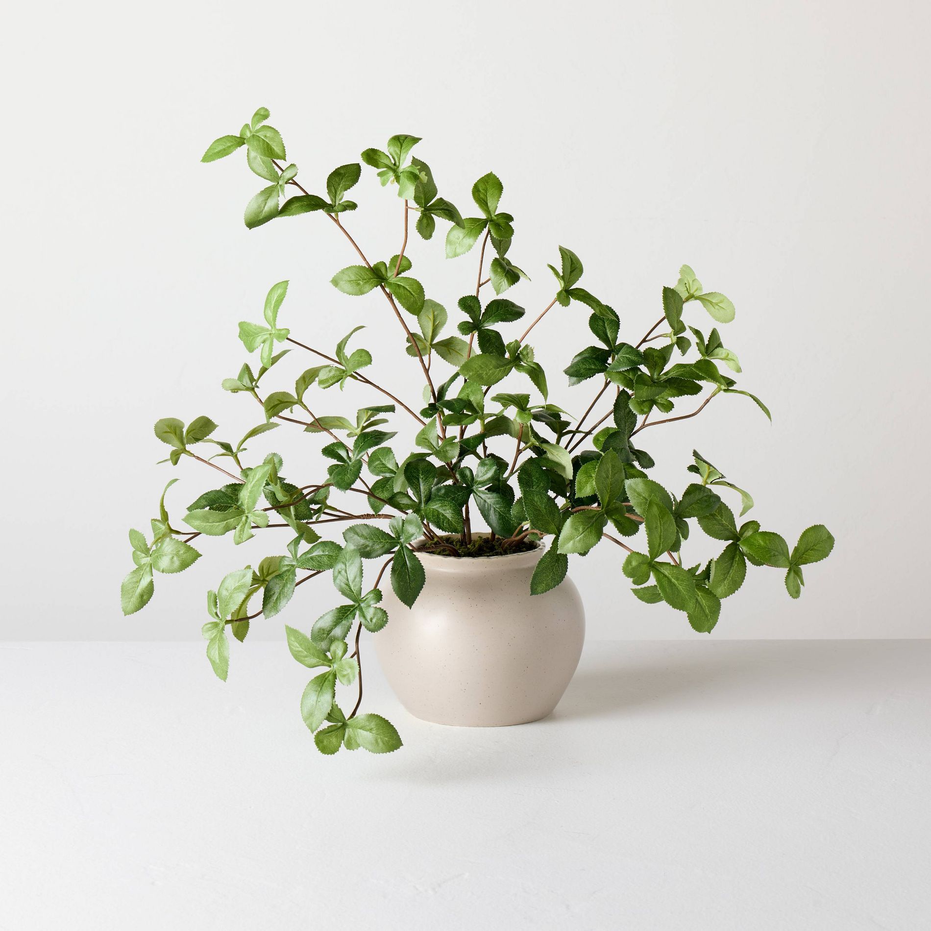 Large Green Gypsophila Artificial Plant - Hearth & Hand™ with Magnolia