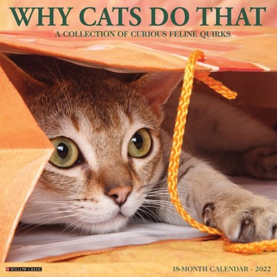 2022 Wall Calendar Why Cats Do That - Willow Creek Press