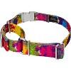 Country Brook Petz Martingale Dog Collar with Premium Buckle - Groovy Collection - 2 of 4