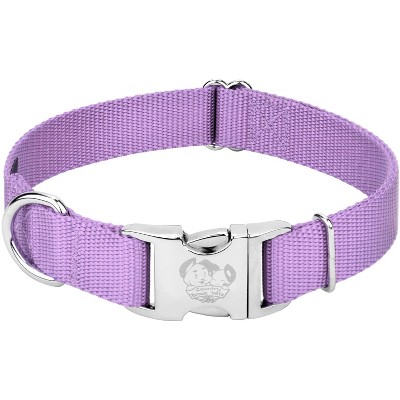 Country Brook Petz Premium Nylon Dog Collar with Metal Buckle for Small Medium Large Breeds - Vibrant 30+ Color Selection