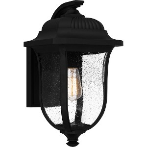 Mulberry 1-Light Matte Black Outdoor Wall Lantern - 1 of 4