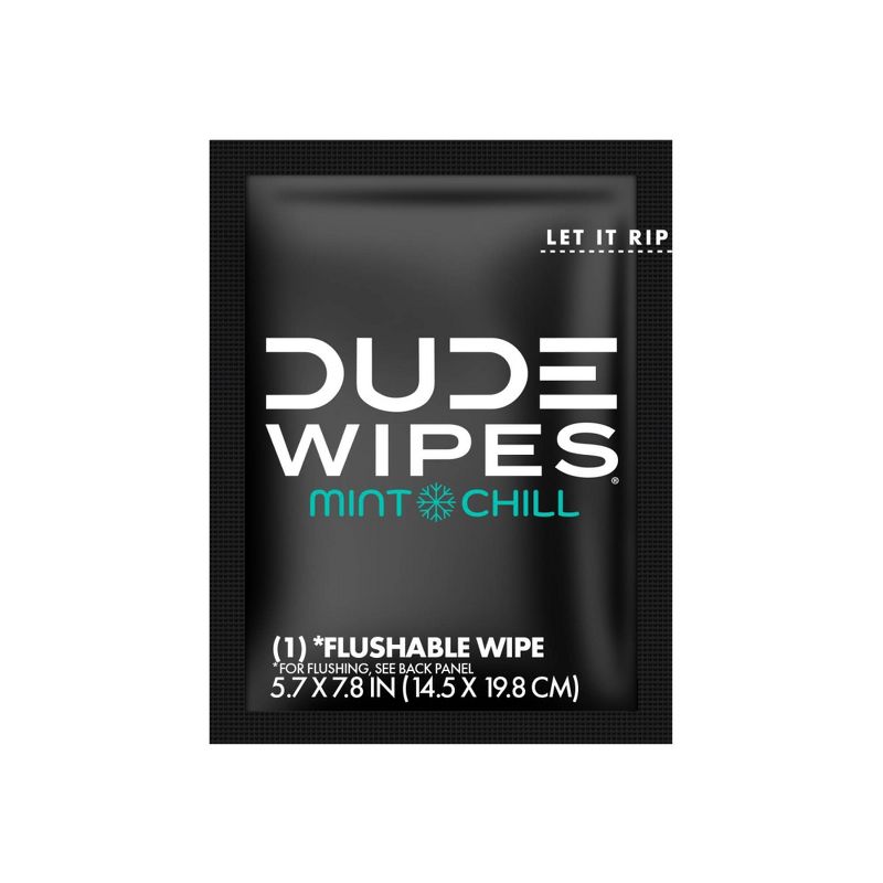Dude Wipes Mint Chill On-The-Go Flushable Personal Wipes - 30ct, 6 of 10