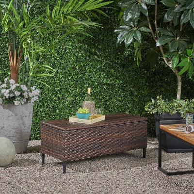 Sapphtopaz Storage Bench Rattan Storage Organizer Ottoman Toy Box Storage for Entryway Living Room, Patio