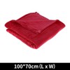 Unique Bargains Blanket Simple Coral Fleece 39"x28" - 2 of 4