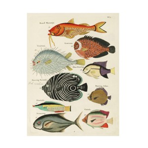 Trademark Fine Art - Louis Renard  Renard Tropical Fish VI Canvas Art - 1 of 4