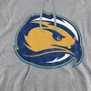 Fort Lewis College Official Distressed Primary Adult Pull-Over Hoodie - 2 of 4