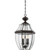 Quoizel Lighting Newbury 4 - Light Pendant in  Medici Bronze - 2 of 4