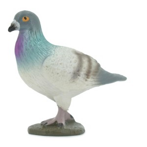 Collectible Wildlife Gifts | Pigeon, Rock Dove, Columba, Museum Quality, Hand Painted, Rubber, Bird, Model,  Toy, Gift,   2 1/2"  CH554 BB161 - 1 of 4