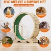 COZONY Cat Exercise Wheel, 43" Indoor Cat Running Wheel with Detachable Carpeted Track, Quiet Cat Treadmill Stable Base for Training Fitness - 3 of 4