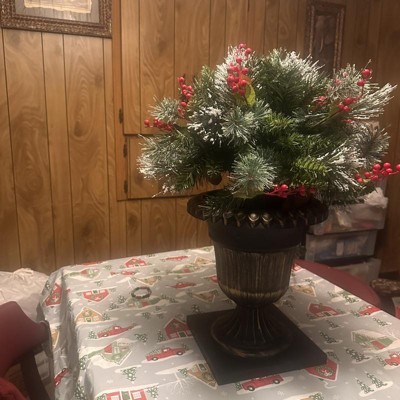 Guest review image 1 of 2, zoom in