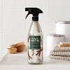 Cinnamon & Birch All Purpose Cleaner - 28 fl oz - Everspring™ - image 2 of 4